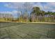 Wide backyard with trees, natural sunlight, and newly laid sod waiting for landscaping at 611 Highview Dr, Benson, NC 27504