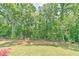 Lush backyard with mature trees and a well-maintained lawn providing a private outdoor space at 140 Norwell Ln, Pittsboro, NC 27312
