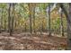 Serene backyard surrounded by lush trees, offering privacy and a peaceful retreat at 140 Norwell Ln, Pittsboro, NC 27312