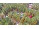An aerial view of homes nestled in mature trees with changing fall colors create a serene and picturesque neighborhood scene at 143 Rawhide Dr, Louisburg, NC 27549
