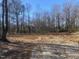 Cleared lot ready for new construction, surrounded by mature trees at 801 River Rd, Selma, NC 27576