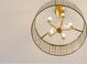 Unique chandelier with circular shade and multiple lightbulbs at 2401 Terri Creek N Dr # 08, Fuquay Varina, NC 27526