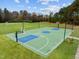 Outdoor basketball court with green surface and blue accents, surrounded by lush green grass at 181 Colonial Ridge Dr, Pittsboro, NC 27312