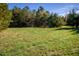 Expansive grassy field bordered by mature trees with a clear sky backdrop at 206 Pike Memory Ln, Staley, NC 27355