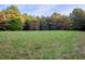 A lush, green meadow surrounded by mature trees and a clear blue sky at 206 Pike Memory Ln, Staley, NC 27355