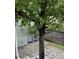 A view of the backyard featuring stepping stones, a mature tree and the home's back entrance at 4429 Log Cabin Dr, Raleigh, NC 27616
