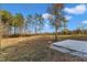 Expansive backyard featuring a concrete slab, bordered by mature trees in a peaceful, natural setting at 1235 Schloss Rd, Louisburg, NC 27549