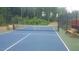 Well-maintained pickleball court with benches for relaxation at 110 Sawtooth Oak Ln, Youngsville, NC 27596
