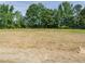 Expansive backyard offers ample space for outdoor activities and future landscaping projects at 1233 Azalea Garden Cir, Raleigh, NC 27603