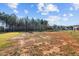 Expansive, grassy backyard with treeline in the distance at 41 Red River Dr, Selma, NC 27576