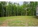 Expansive backyard featuring lush green grass and a treeline that creates a private, serene setting at 617 Darian Woods Dr, Holly Springs, NC 27540
