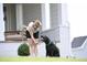 Personal playing with dog in the front yard of a beautiful gray brick home at 252 Beacon Dr, Pittsboro, NC 27312