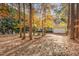Two-story house surrounded by autumn trees at 1620 Dunn Rd, Raleigh, NC 27614