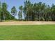 Expansive backyard featuring green grass and mature trees on a sunny day at 142 Batten Hill Ln, Selma, NC 27576