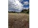 Beautiful undeveloped land perfect for building your dream home or farm with plenty of space for customization at 6270 River Rd, Fuquay Varina, NC 27526