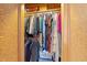 Spacious walk-in closet with ample hanging space and organized storage solutions at 417 Elm St, Raleigh, NC 27604