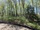 A serene wooded lot with lush greenery and mature trees offers privacy at 2624 Silver Gate Ct, Wake Forest, NC 27587