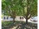 Beautiful single-story home with mature trees in the front yard at 113 S Friars Chase Ln, Fuquay Varina, NC 27526