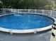 Circular above-ground pool with white trim and gray deck and wooded background at 319 Fox Hollow Dr, Clayton, NC 27527