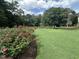 Picturesque Rose Garden with vibrant rose bushes and lush green lawn under a blue sky at 3302.5 Hall Pl, Raleigh, NC 27607