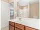 Bathroom vanity with a sink, dark wood cabinets, a large mirror, and a shower at 3417 Cardinal Lake Dr, Durham, NC 27704