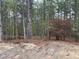 Wooded lot with mature trees and some undergrowth at 788 Roberts Rd, Sanford, NC 27332