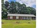 Charming single-story home featuring a well-manicured lawn and a welcoming facade at 2169 Northcrest Dr, Elon, NC 27244
