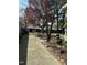 Landscaped backyard with mature trees offering shade and privacy at 229 Davis Mill Rd, Selma, NC 27576