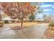 Landscaped backyard featuring decorative brickwork, mature trees, and a spacious driveway at 229 Davis Mill Rd, Selma, NC 27576
