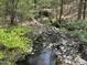 Natural creek flowing through property's wooded area with lush trees and rock bed at 9009 Grassington Way, Raleigh, NC 27615