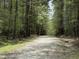 Scenic gravel path winding through a lush green forest, offering a tranquil outdoor experience at 9009 Grassington Way, Raleigh, NC 27615