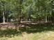 View of the wooded backyard, with foliage and trees in the partially shaded area at 1017 Gaston Ave, Durham, NC 27707