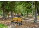 A tranquil park setting featuring a bridge over a creek, a gazebo, and a park bench for relaxation at 209 Pond View Ct # 4, Fuquay Varina, NC 27526