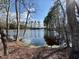 Still pond surrounded by bare trees, reflecting the sky and clouds on the water at 45 Covey Rise Way, Lillington, NC 27546