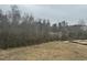 Expansive backyard with bare grass, bordered by dense trees, offering privacy and a natural setting at 71 Slocum Dr, Wendell, NC 27591