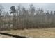 Expansive backyard showcasing a blend of mature trees and open space, offering a serene outdoor setting at 71 Slocum Dr, Wendell, NC 27591