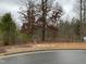 Scenic shot of a property lot surrounded by trees and natural landscape at 172 Quail Pt, Pittsboro, NC 27312