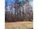 Exterior shot of the backyard containing many trees at 2800 Coleman Loop Rd, Hillsborough, NC 27278