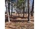 Exterior shot of the backyard containing trees at 2800 Coleman Loop Rd, Hillsborough, NC 27278