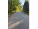 Quiet residential street lined with lush trees and greenery, creating a peaceful and inviting neighborhood atmosphere at 2705 Royster St, Raleigh, NC 27608