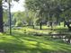 Scenic backyard view of lush green grass, mature trees, and a small creek at 130 S Estes Dr # G5, Chapel Hill, NC 27514