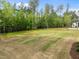 Expansive backyard with well-maintained lawn, framed by a backdrop of mature trees, enhancing outdoor living at 7813 Ailesbury Rd, Wake Forest, NC 27587
