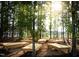 Community gathering space featuring modern wood benches amidst towering trees at 85 Windchime Ct, Fuquay Varina, NC 27526