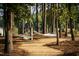 Relaxing hammock park with mature trees and wooden hammocks on a gravel path at 85 Windchime Ct, Fuquay Varina, NC 27526