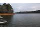 Tranquil lake view showcasing calm waters and tree-lined banks at 513 Port Dr, Henderson, NC 27537
