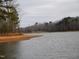 Serene lakefront view with sandy shoreline and wooded backdrop at 513 Port Dr, Henderson, NC 27537