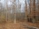 Open wooded area with leaf covered ground at 513 Port Dr, Henderson, NC 27537