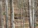 Secluded wooded area with a small footbridge at 513 Port Dr, Henderson, NC 27537