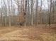 Wooded area with leaf covered ground and a water tank at 513 Port Dr, Henderson, NC 27537