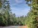 Peaceful street view surrounded by lush trees and greenery, showcasing the natural beauty of the neighborhood at 12 Cabin Crk, Pittsboro, NC 27312